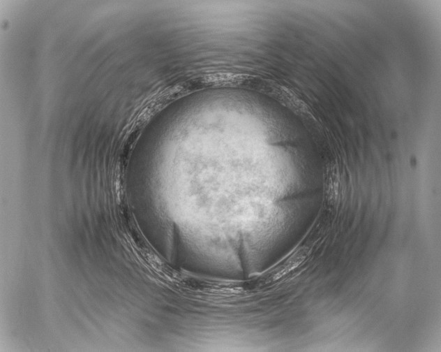 X0000053050716200507251423