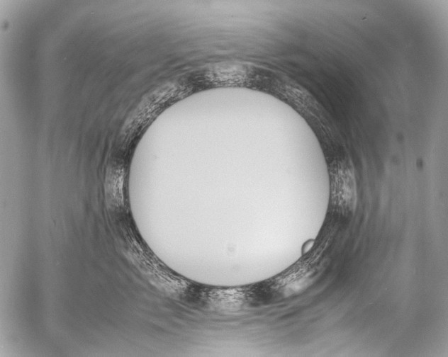 X0000053050717200507251423