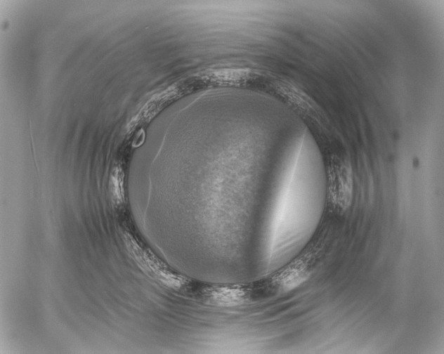 X0000053050718200507251423