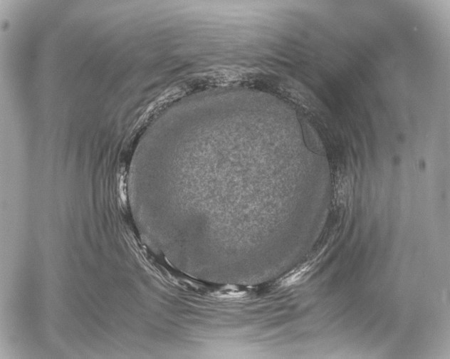 X0000053050719200507251423