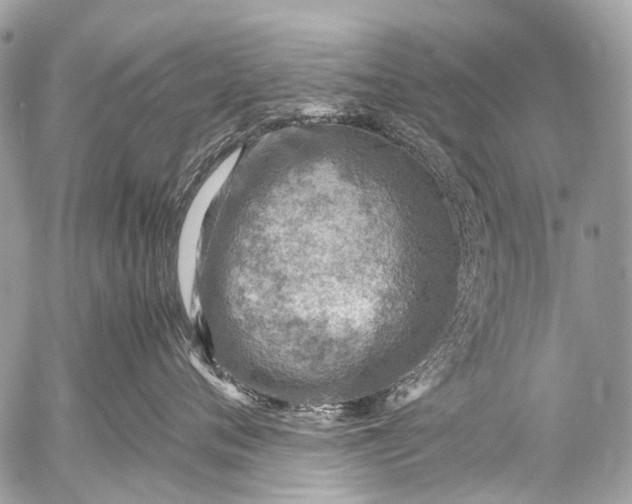 X0000053050720200507251423