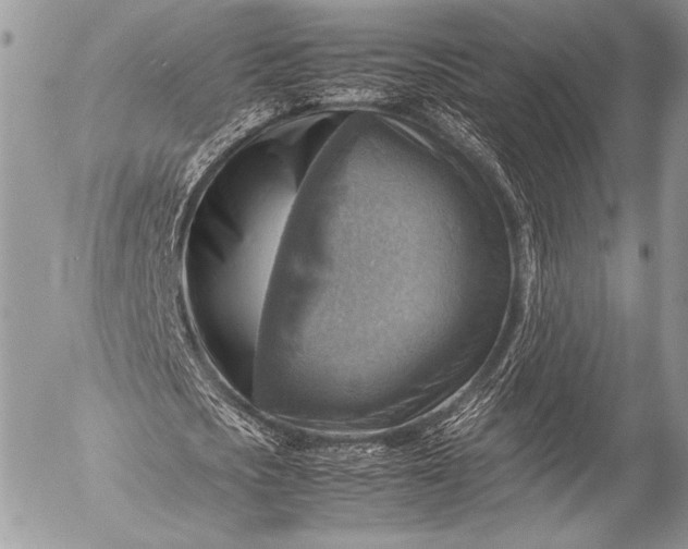 X0000053050721200507251422