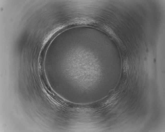 X0000053050722200507251422