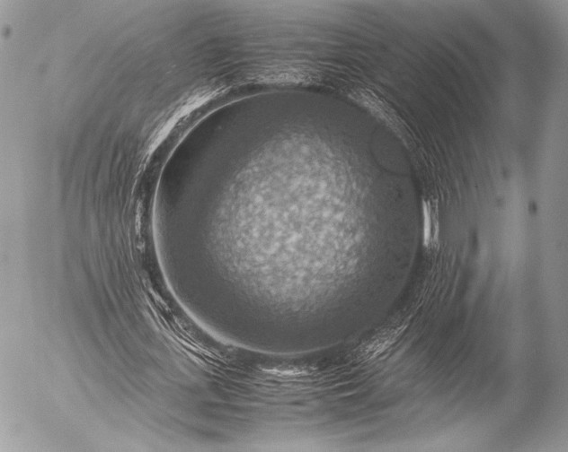 X0000053050723200507251422