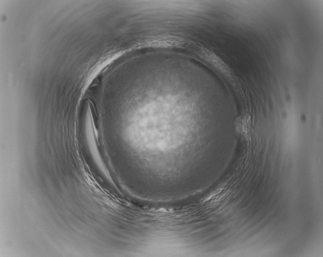 X0000053050724200507251422