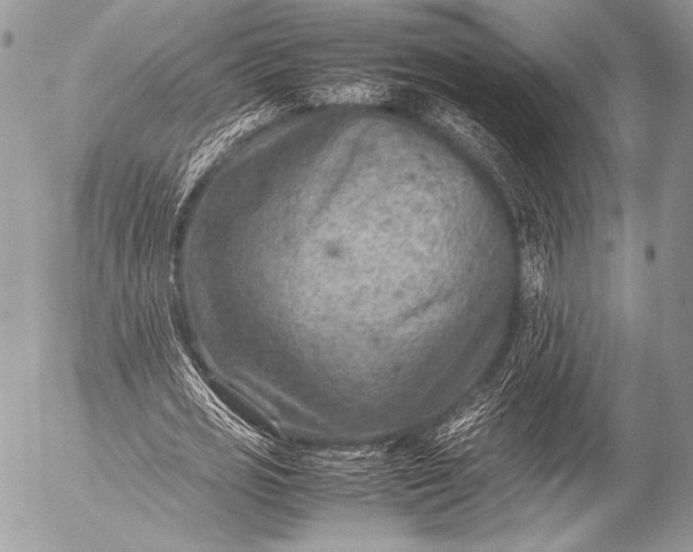 X0000053050725200507251422