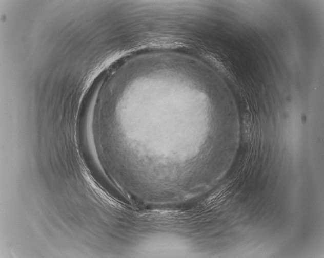 X0000053050726200507251422