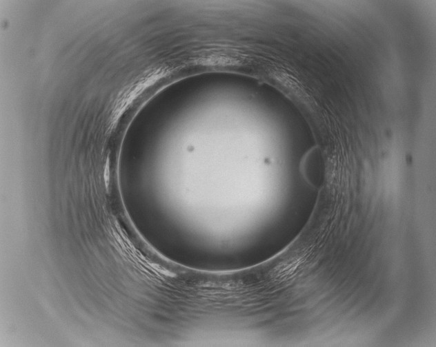 X0000053050727200507251422