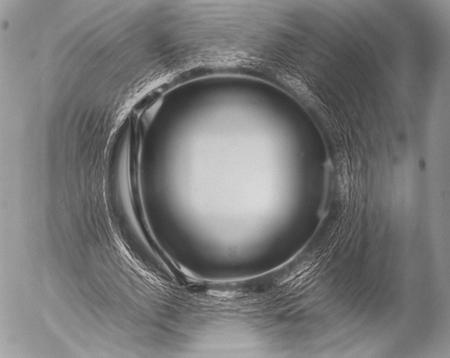 X0000053050728200507251422