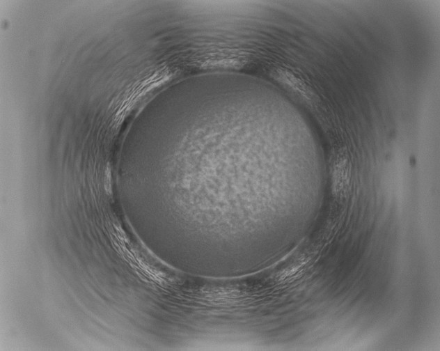 X0000053050729200507251422