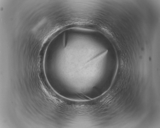 X0000053050730200507251422