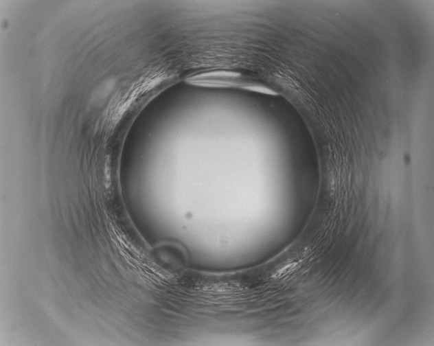 X0000053050731200507251422