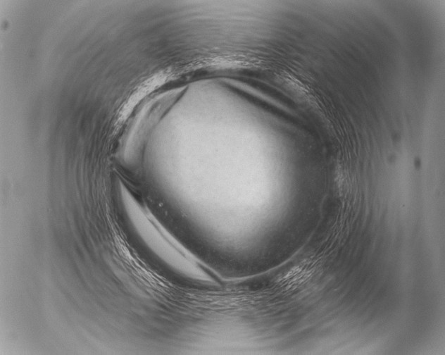 X0000053050732200507251422