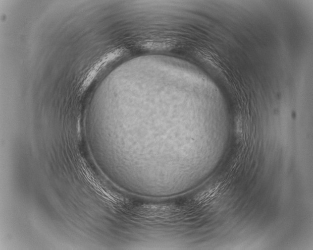 X0000053050733200507251422