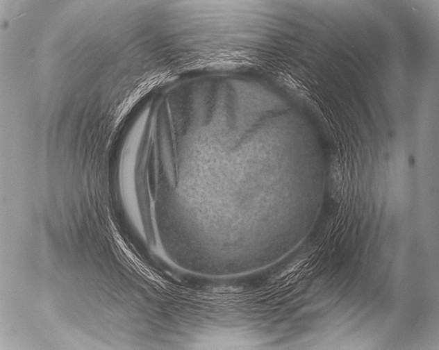 X0000053050734200507251422