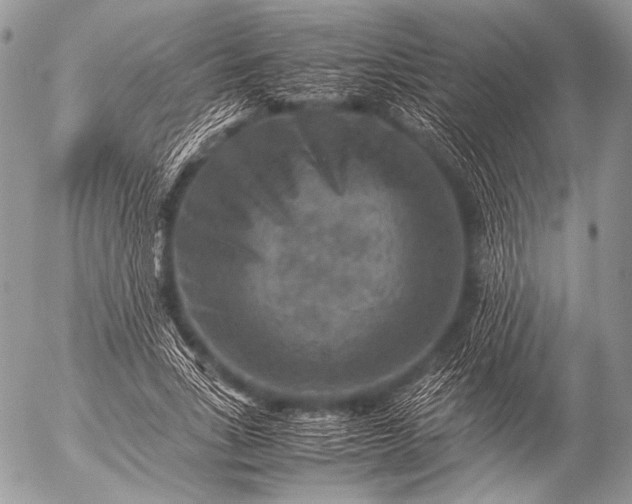 X0000053050735200507251422