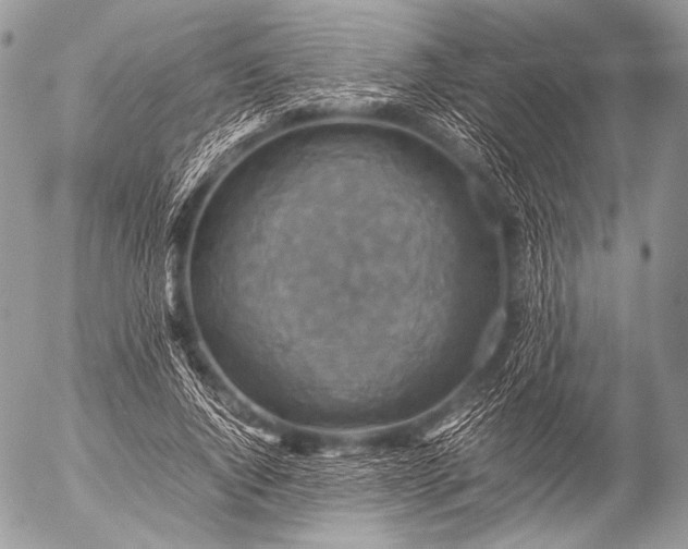 X0000053050736200507251422