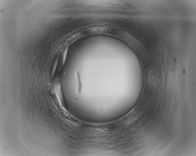 X0000053050737200507251422