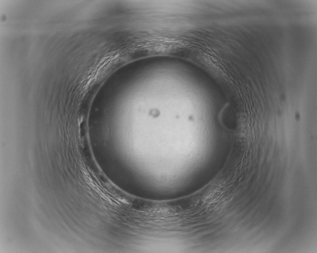 X0000053050738200507251422