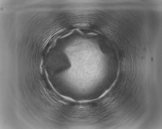 X0000053050739200507251422