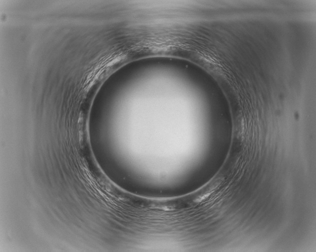 X0000053050740200507251422