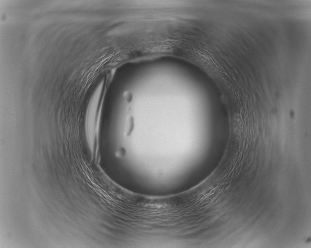 X0000053050741200507251422