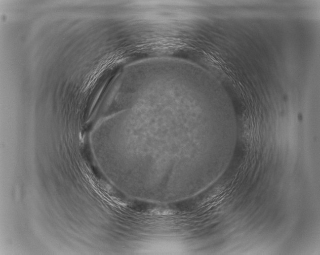 X0000053050742200507251422