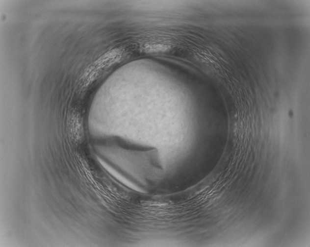 X0000053050743200507251422