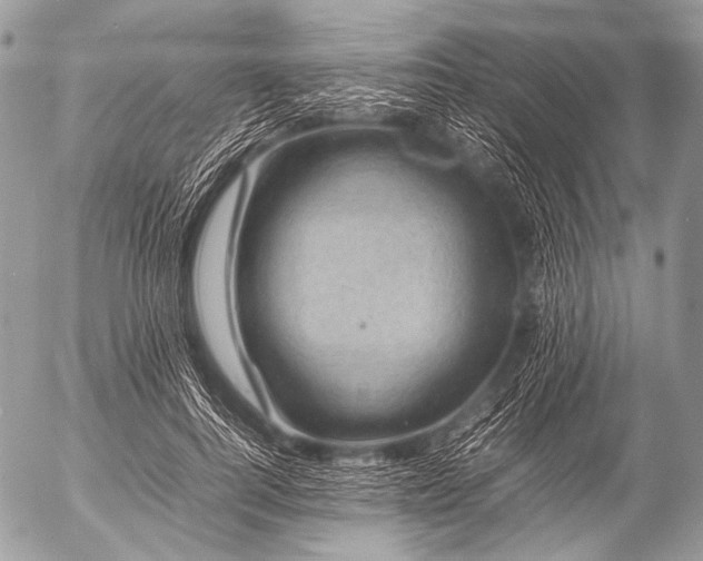 X0000053050744200507251422