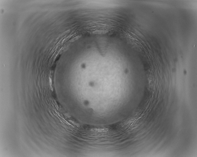 X0000053050745200507251422