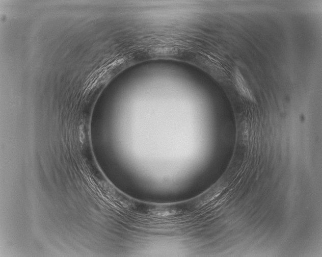 X0000053050746200507251422