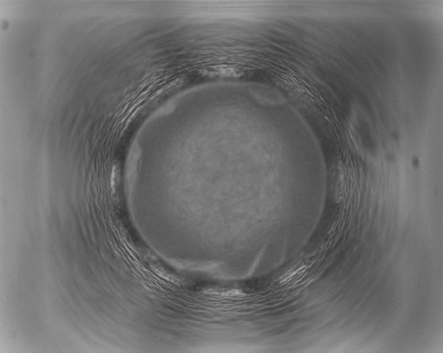 X0000053050747200507251422