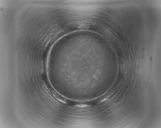 X0000053050748200507251422