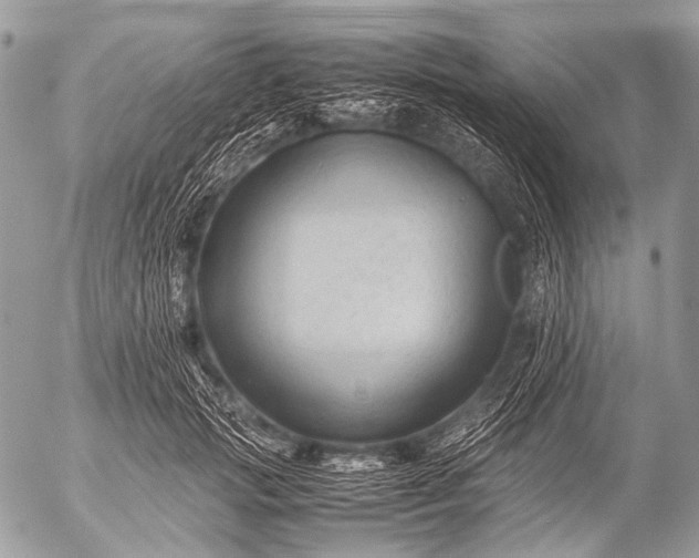 X0000053050749200507251422