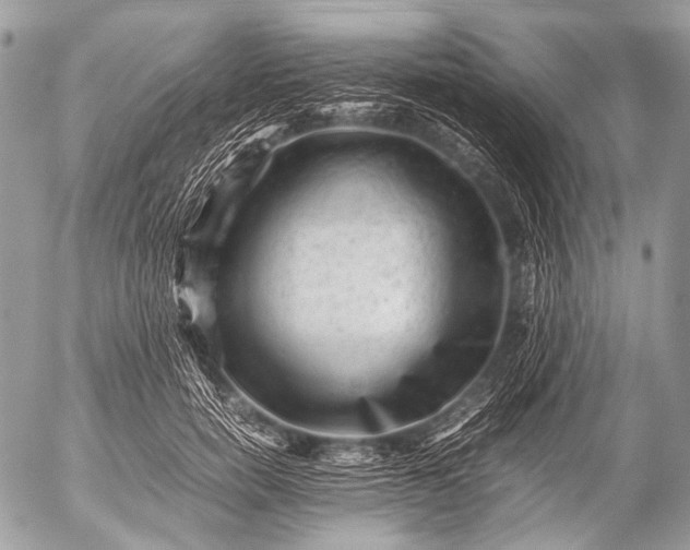 X0000053050750200507251422