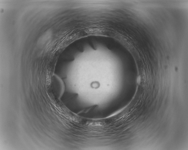 X0000053050751200507251423