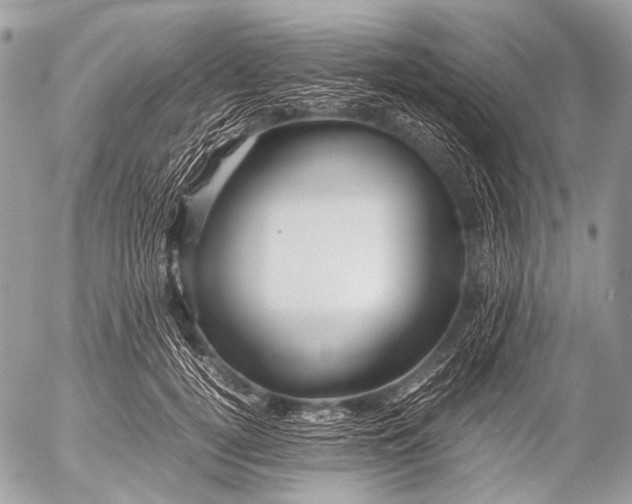 X0000053050752200507251423