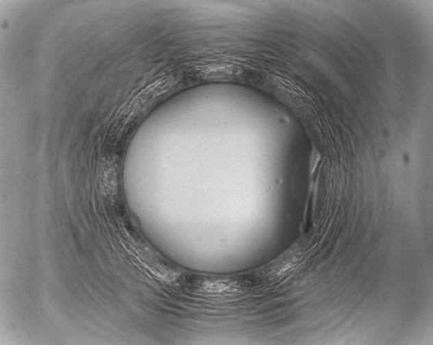 X0000053050753200507251423