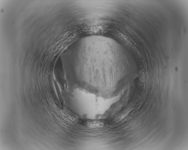 X0000053050754200507251423