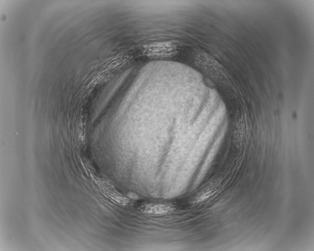 X0000053050755200507251423