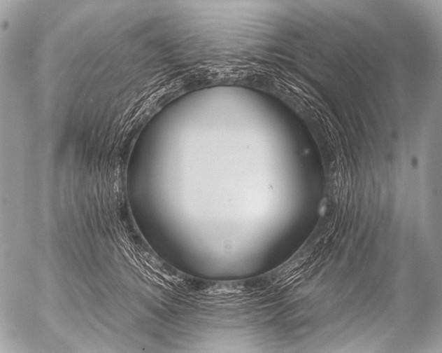 X0000053050756200507251423