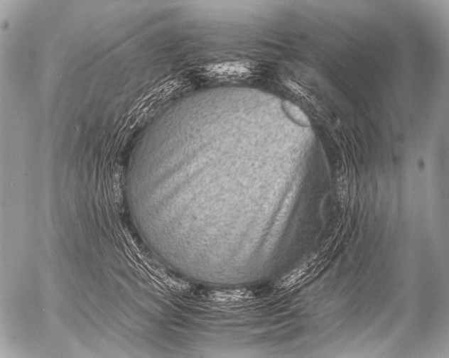 X0000053050757200507251423