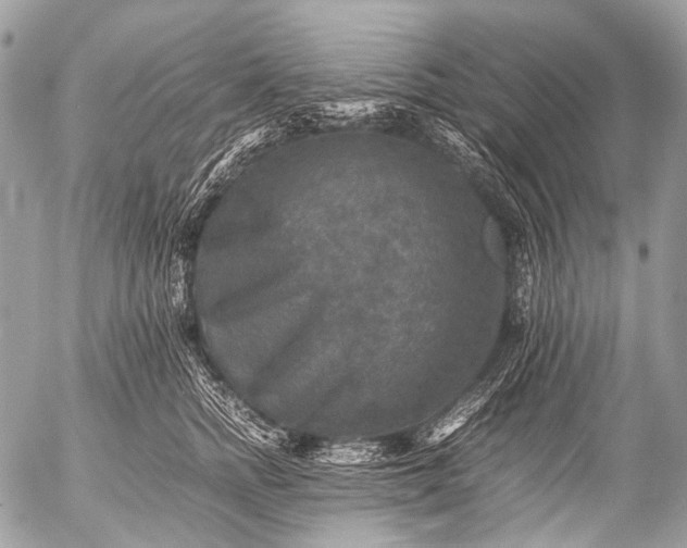 X0000053050758200507251423