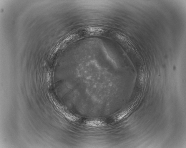 X0000053050759200507251423