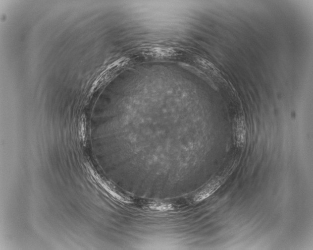 X0000053050760200507251423