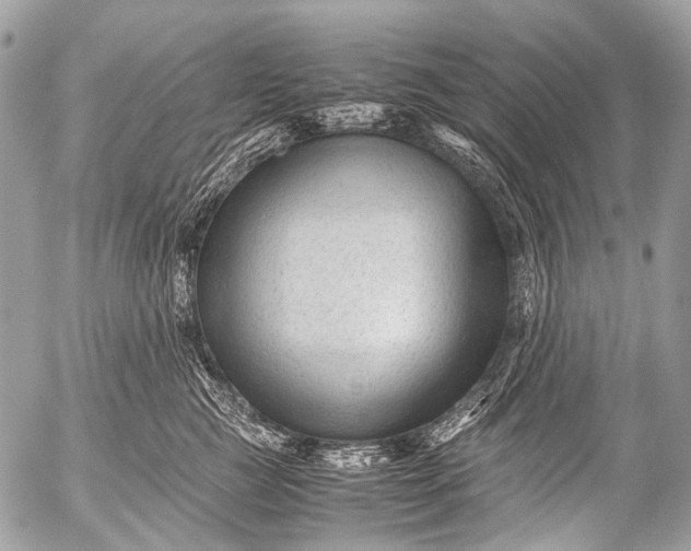 X0000053050761200507251423