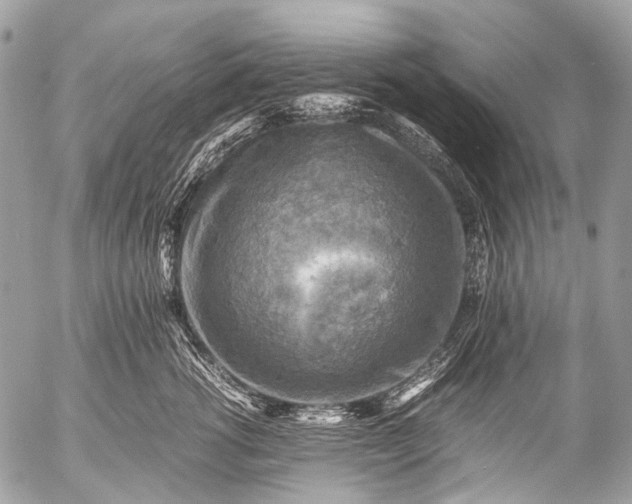 X0000053050762200507251423