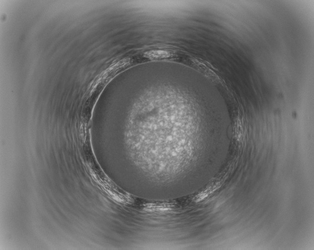 X0000053050763200507251423