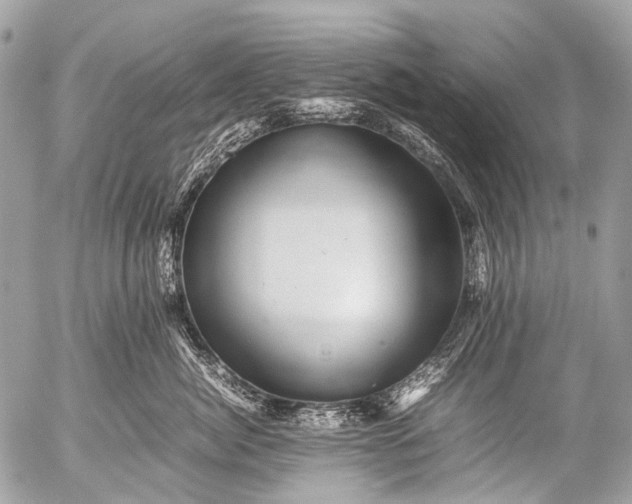 X0000053050764200507251423