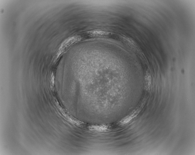 X0000053050765200507251423